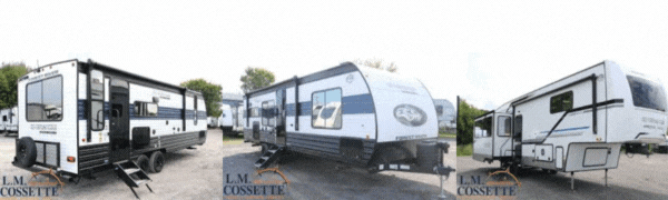 Couverture de Les promotions L.M. Cossette